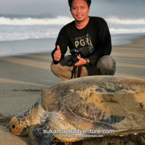 sukamade,sukamade java,sukamade beach,sukamade beach turtle,sukamade adventure tour,sukamade,sukamade indonesia,sukamade turtle beach,sukamade map,sukamade banyuwangi,sukamade tour,sukamade guest house,sukamade konservasi penyu,sukamade tour price,sukamade java,sukamade wisata pantai penyu, pantai sukamade, musim penyu pantai sukamade, petualangan sukamade, wisata petualangan sukamade, wisata penyu sukamade, peta pantai sukamade, homestay sukamade, akomodasi pantai sukamade, akomodasi sukamade, alas sukamade, como ir a sukamade, wisata pantai sukamade, sukamade wisma pantai,sukamade beach indonesia,sukamade beach java,sukamade beach hotel,sukamade camping ground,sukamade dimana,dusun sukamade banyuwangi,hotel di sukamade banyuwangi,desa sukamade banyuwangi,desa sukamade,dusun sukamade,penginapan di sukamade,penginapan di sukamade banyuwangi, hotel di sukamade,penyu di sukamade,sukamade turtle beach east java,wisma sukamade guest house,sukamade hotel,hutan sukamade,hotel sukamade banyuwangi,teluk hijau sukamade,penyu hijau sukamade,bromo ijen sukamade tour,teluk ijo sukamade,sukamade indonesie,sukamade jember,sukamade jawa timur,pantai sukamade jember,pantai sukamade jawa timur,sukamade beach (jawa timur),sewa jeep sukamade,sukamade turtle beach java,akses ke sukamade,tour ke sukamade,kalibaru sukamade,jalan ke sukamade,perjalanan ke sukamade,cara ke sukamade, travel ke sukamade,sukamade lodge,lokasi sukamade,lokasi sukamade banyuwangi,sukamade meru betiri,malang sukamade,sukamade to mount bromo,mess sukamade,misteri sukamade,pantai sukamade meru betiri,jalan menuju sukamade,tiket masuk sukamade,sukamade national park,taman nasional sukamade,sukamade penyu,sukamade pantai penyu,penginapan sukamade,pantai sukamade,pantai sukamade bwi,pulau sukamade,perkebunan sukamade,pt sukamade baru,pulau sukamade banyuwangi,sukamade resort,sukamade turtle shelter,meru betiri resort sukamade,rute sukamade,sukamade musim penyu,sukamade turtles,sukamade tour banyuwangi,margo utomo sukamade ,asal usul sukamade,kunjungi sukamade,cuaca sukamade,sukamade wikipedia,wisma sukamade,wisata sukamade banyuwangi,wisata sukamade,paket wisata sukamade,paket wisata sukamade banyuwangi,tempat wisata sukamade banyuwngi,sukamade weerwisma sukamade,wisata sukamade banyuwangi,wisata sukamade,paket wisata sukamade,paket wisata sukamade banyuwangi,tempat wisata sukamade banyuwngi,sukamade weerwisma sukamade,wisata sukamade banyuwangi,wisata sukamade,paket wisata sukamade,paket wisata sukamade banyuwangi,tempat wisata sukamade banyuwngi,sukamade weer